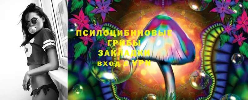 купить наркотик  Инза  ОМГ ОМГ зеркало  Галлюциногенные грибы Magic Shrooms 